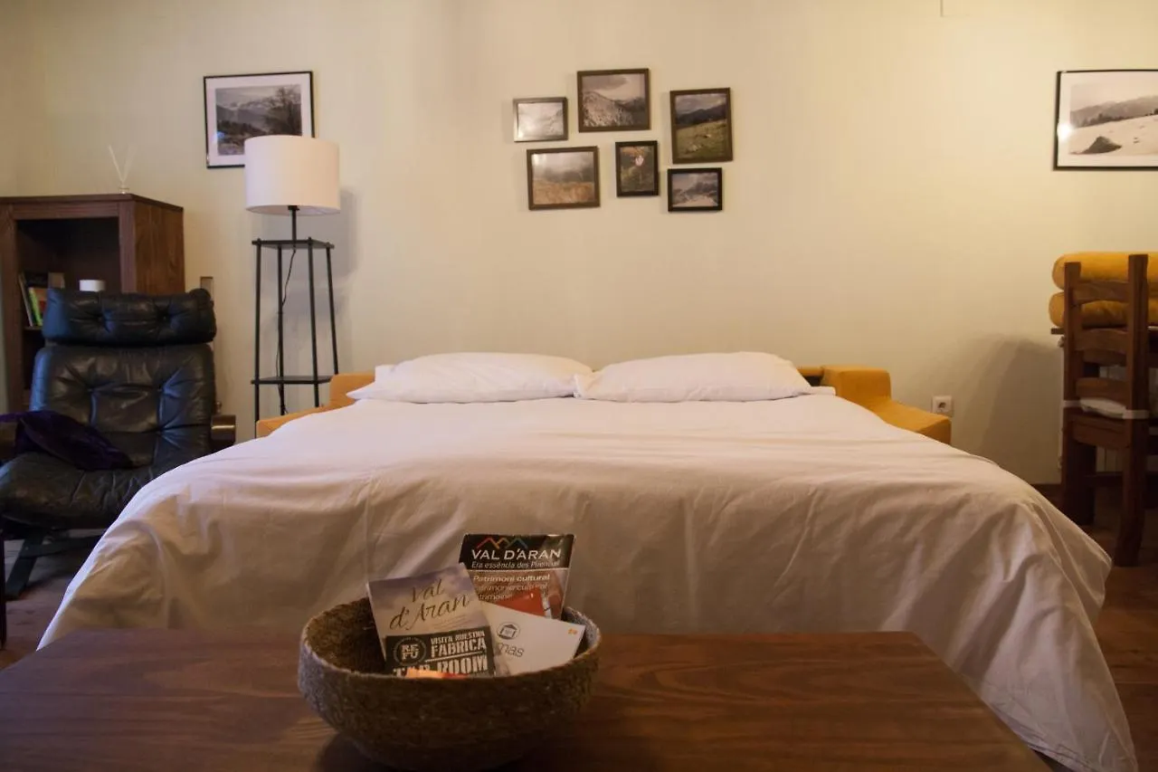 Apartmán Apartamento Toran Les Španělsko